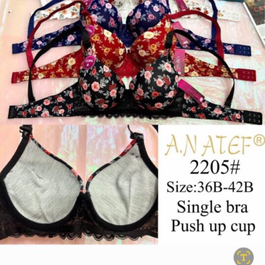 bra